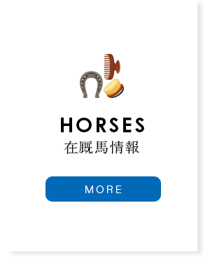 在厩馬情報