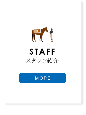 スタッフ紹介
